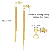 Long Thin Tassel Drop  Earrings