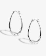 Scentll Silver Oval Hoop Earrings Hypoallergenic 14K Gold Plated Sterling Silver Lightweight Oval Hoop Earrings for Women