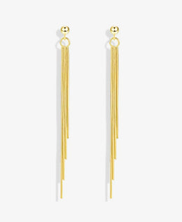 Long Thin Tassel Drop  Earrings